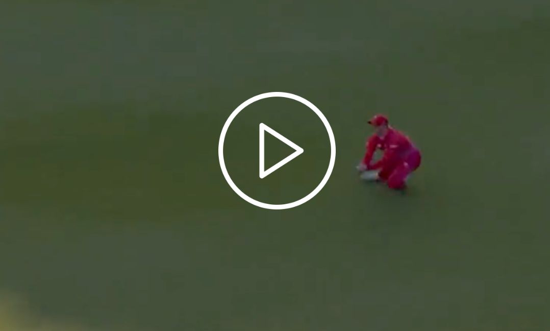 [Watch] Glenn Phillips' Stunning Catch Leaves Everyone Speechless